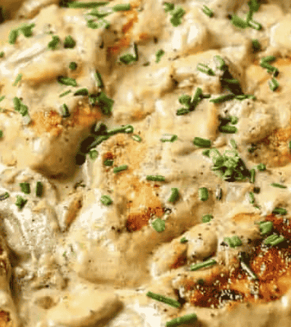 Pioneer Woman Chicken Stroganoff