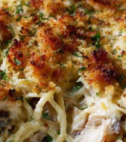 Pioneer Woman Chicken Tetrazzini