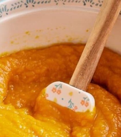 Pioneer Woman Pumpkin Purée recipe