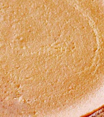 Pioneer Woman Pumpkin Pie with Condensed Milk