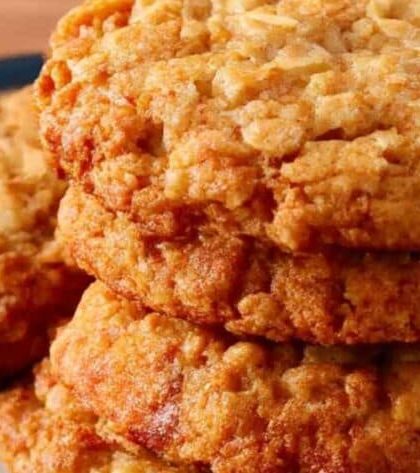 Pioneer Woman Oatmeal Raisin Cookies recipe